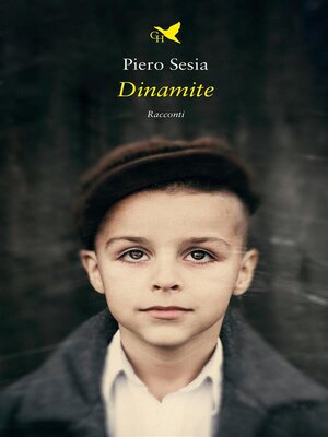 cover image of Dinamite
